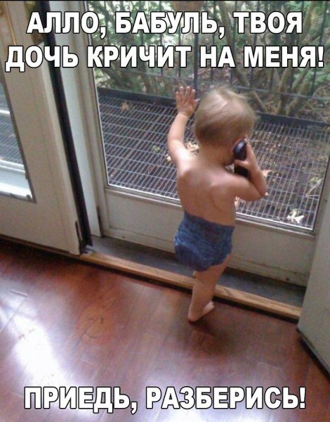 Смешные картинки и фото с надписями