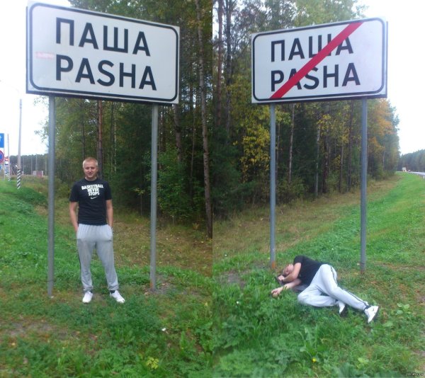 Картинки смешные приколы