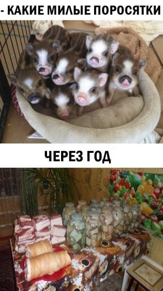 Приколы с надписями