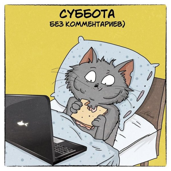 Анекдот про субботу