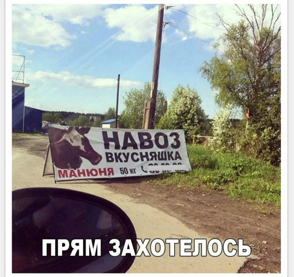 Смешные картинки снадпясями