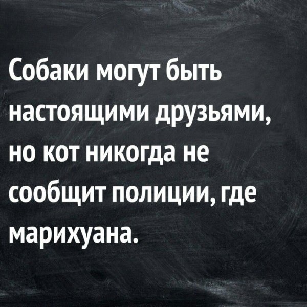 Смешные фразы