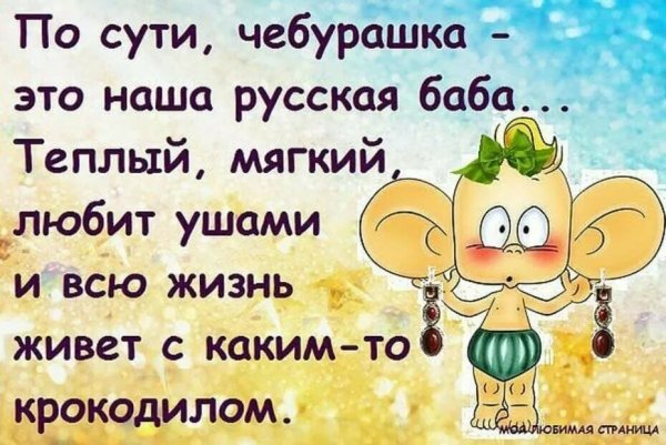 Прикольные афоризмы и высказывания