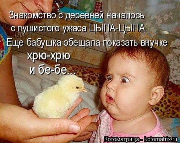 Картинки с детьми прикольные с надписями