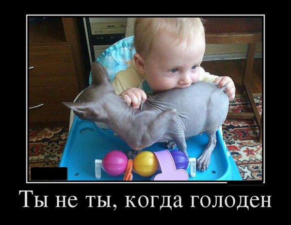 Дети юмор