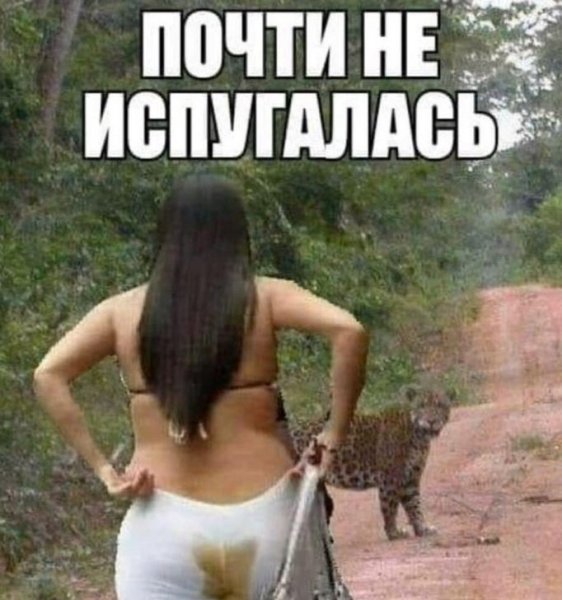 Картинки прикольные смешные
