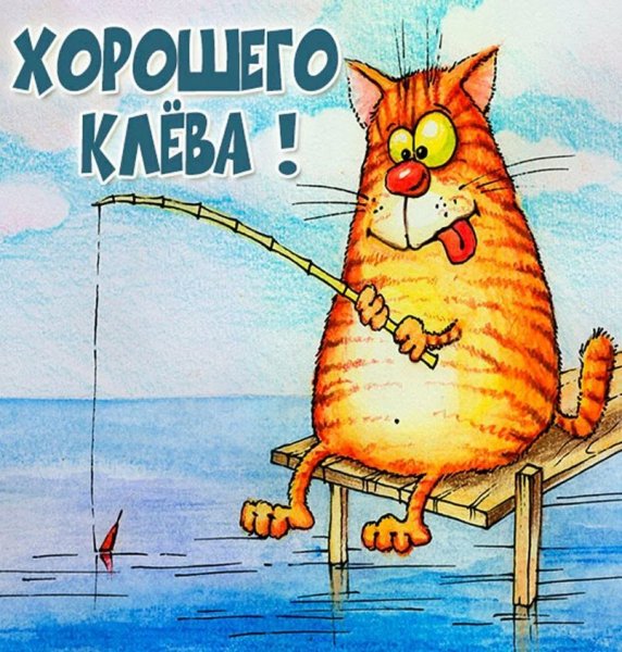 Пожелания удачной рыбалки прикольные