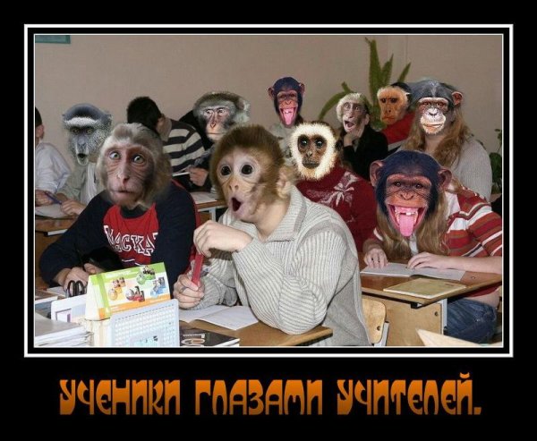 Шутки про учеников и учителей