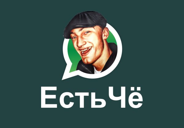 Приколы для группы в ватсапе