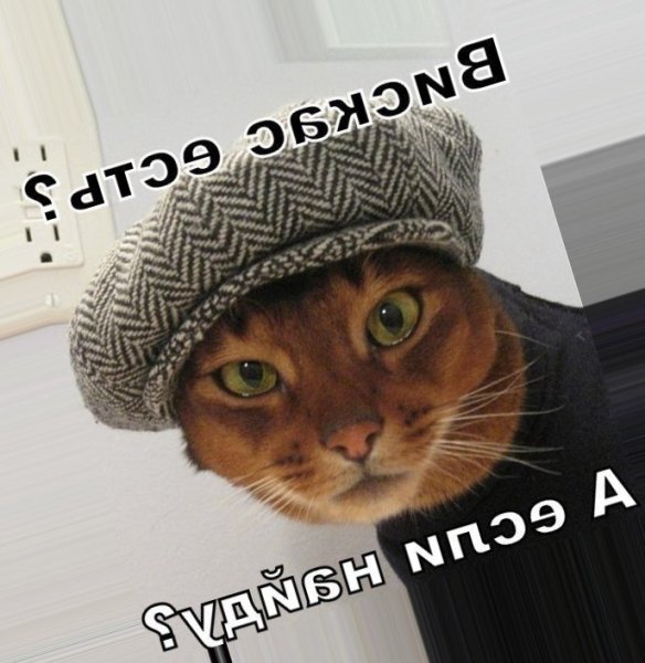 Аватарка для группы в ватсапе