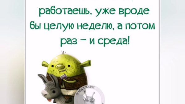 Среда цитаты