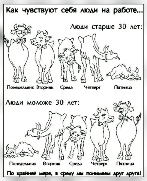 Шутки про работу