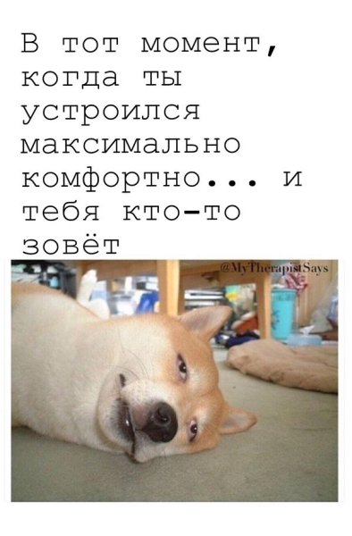 Прикольные картинки с надписями