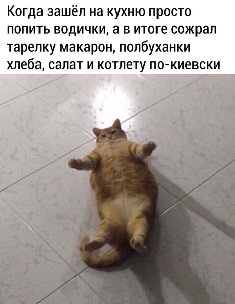 Весёлые картинки для поднятия настроения