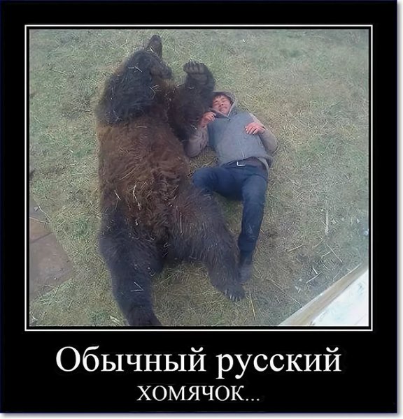 Смешные фото до слез с надписями