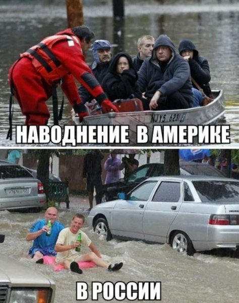 Приколы картинки с надписями