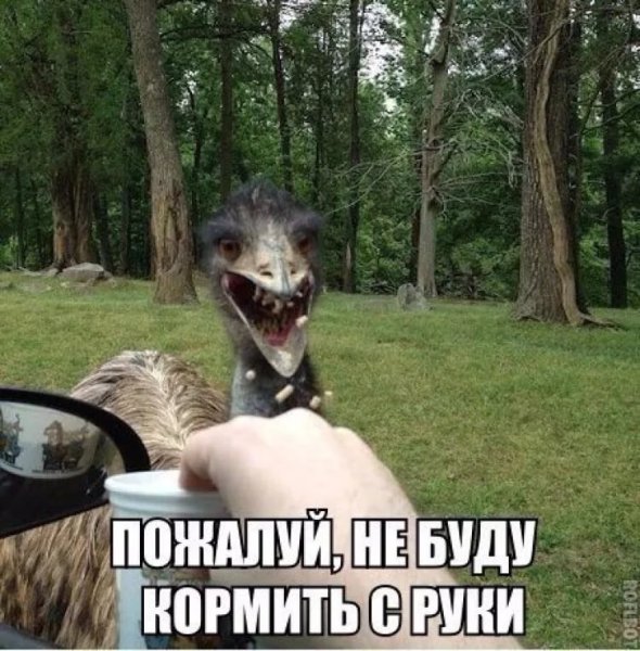 Угарные приколы