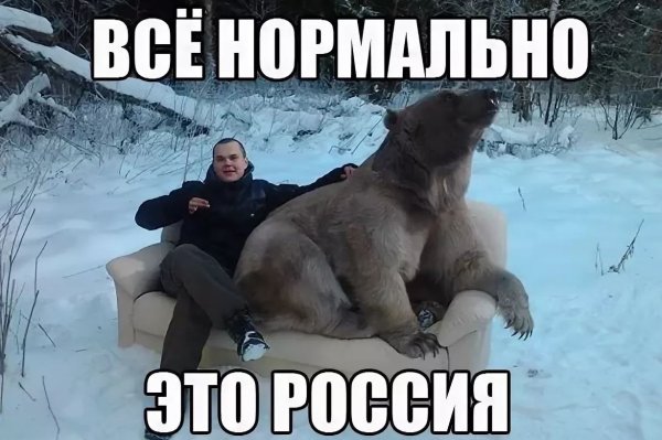 Приколы картинки с надписями