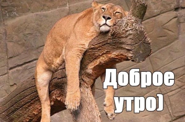 Сменные картинки с добрым утром