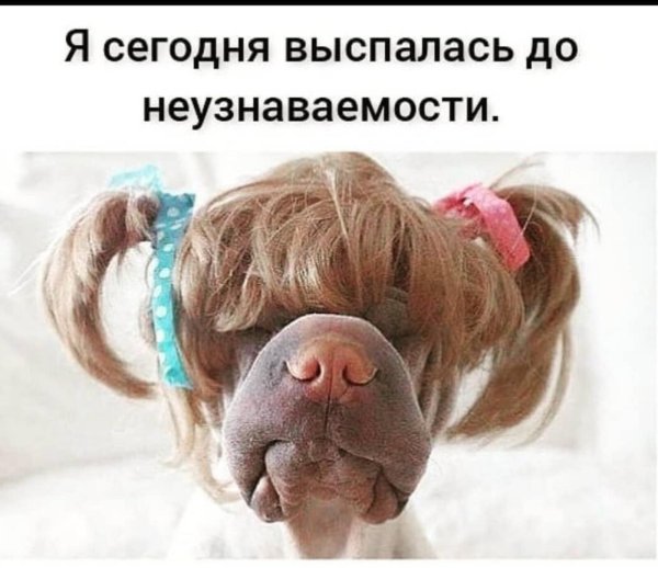 Выспались доброе утро