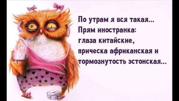 Цитаты с добрым утром прикольные