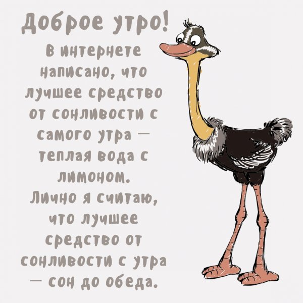 Прикольные открытки с добрым утречком