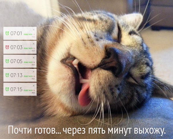 Мемныекартинки с добрым утром