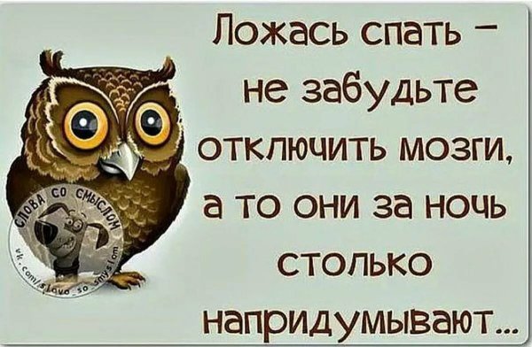 Прикольные пожелания спокойной ночи