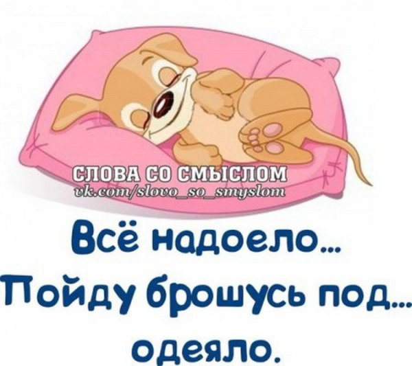 Смешные пожелания спокойной ночи