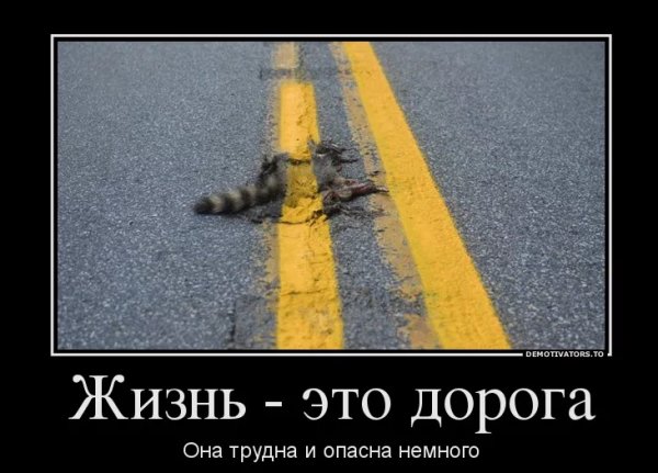 Демотиваторы про дорогу