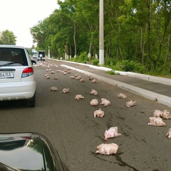 Юмор на дороге