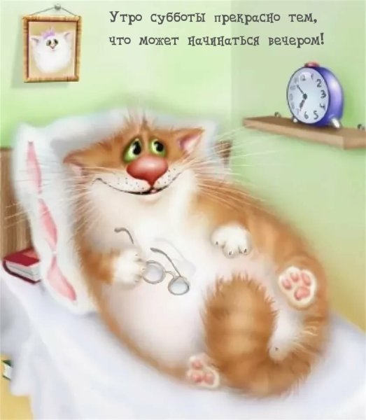 Забавные картинки с добрым утром