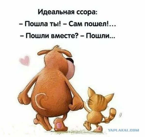 Веселые цитаты
