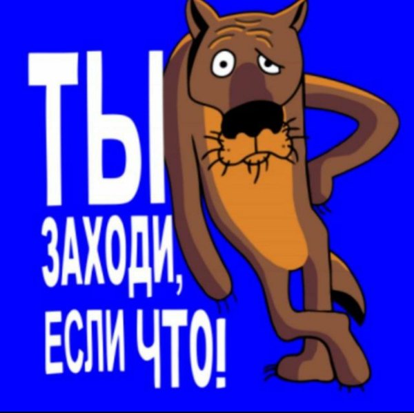 Авы для группы в ватсапе