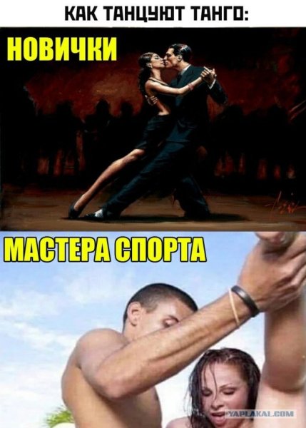 Смешные картинки для WHATSAPP