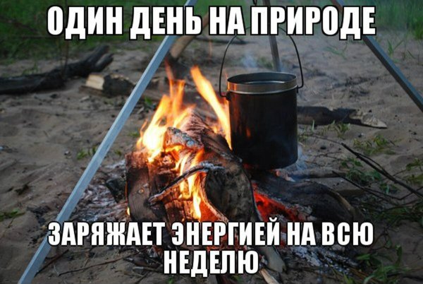 Шашлыки на природе