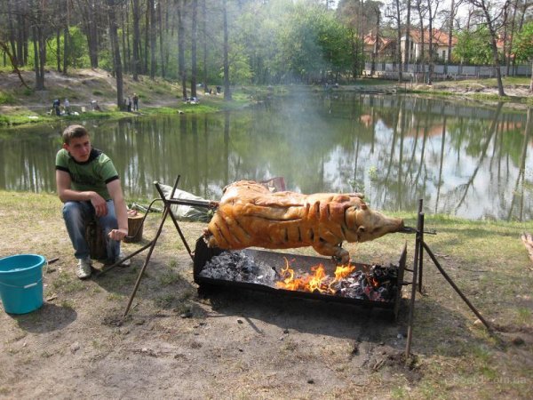 Приколы про отдых на природе