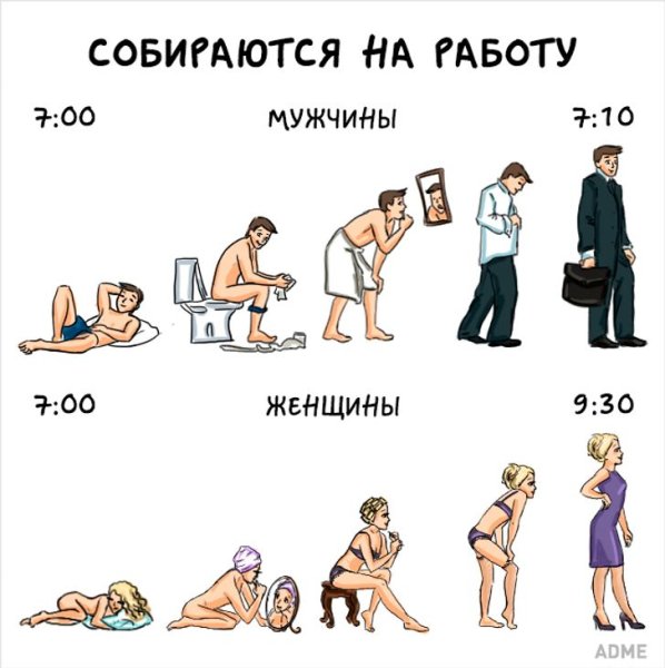 Различия между мужчиной и женщиной