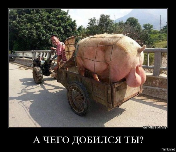 Юмор приколы ржака