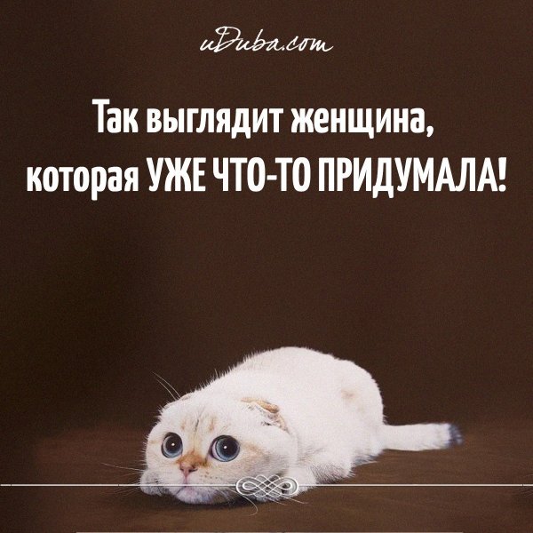 Картинки прикольные смешные с надписями