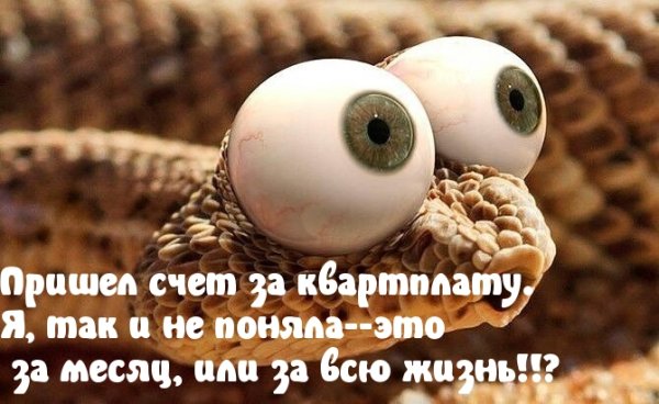 Прикольные приколы в картинках с надписями поржать до слез