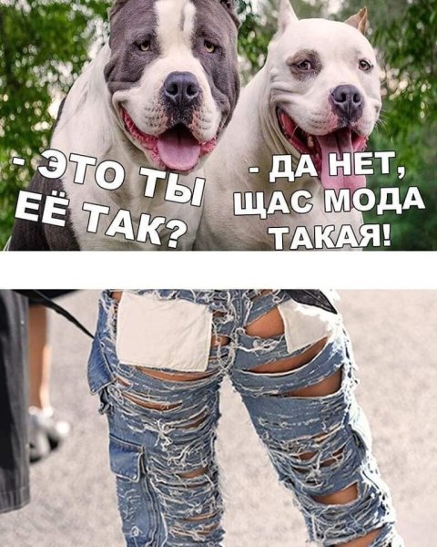 Приколы с надписями