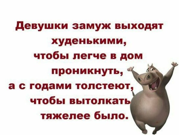 Весёлые высказывания для поднятия настроения