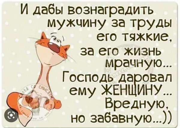 Смешные цитаты