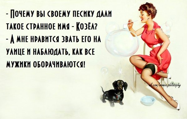 Прикольные цитаты про женщин