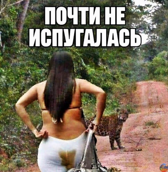 Прикольные уже выхожу