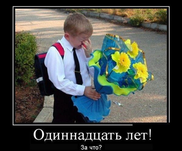 1 Сентября приколы