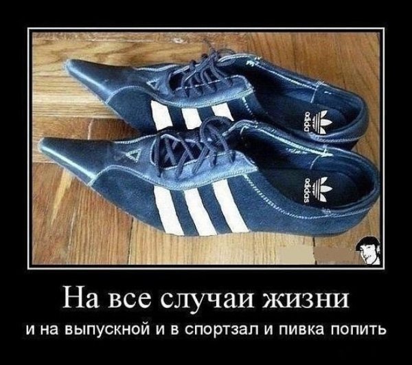 Смешные кеды