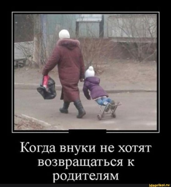 Внуки смешные картинки