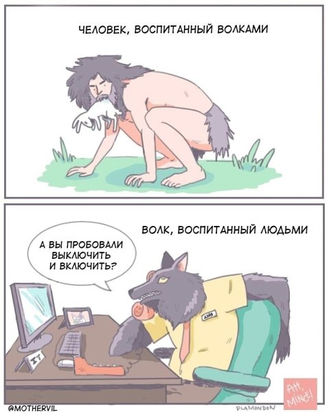 Волк прикол